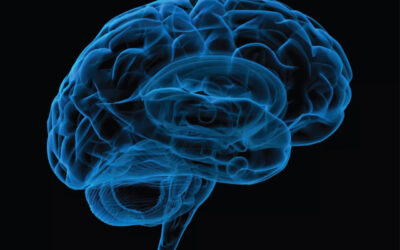 Brain Fitness: Train Faster Thinking, Better Memory & Focus